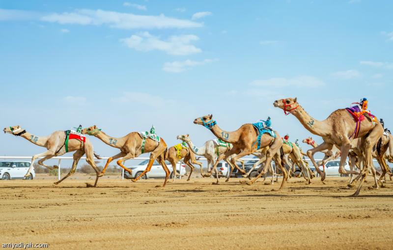 65920b20 3aae 4218 9a2e f978b66ed75e file.jpg