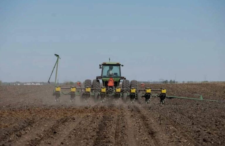 65c8d43e 5ff3 442d 863b f41b057151a6 file.jpg