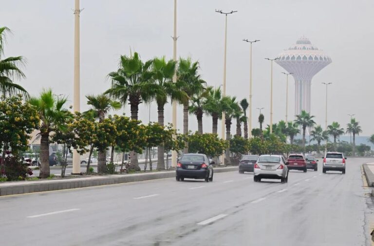 6ae05fbe 0117 4ff3 bea0 743b1a40629c file.jpg