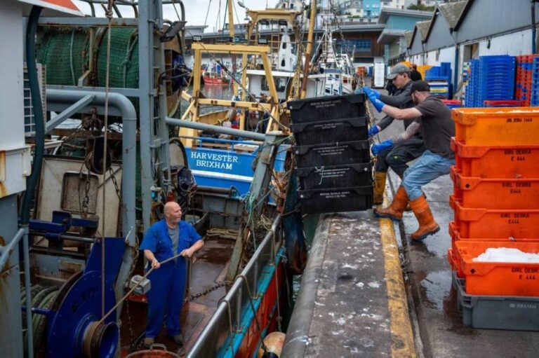 6e17cb84 2681 4bdd aded a71932c507a2 file.jpg