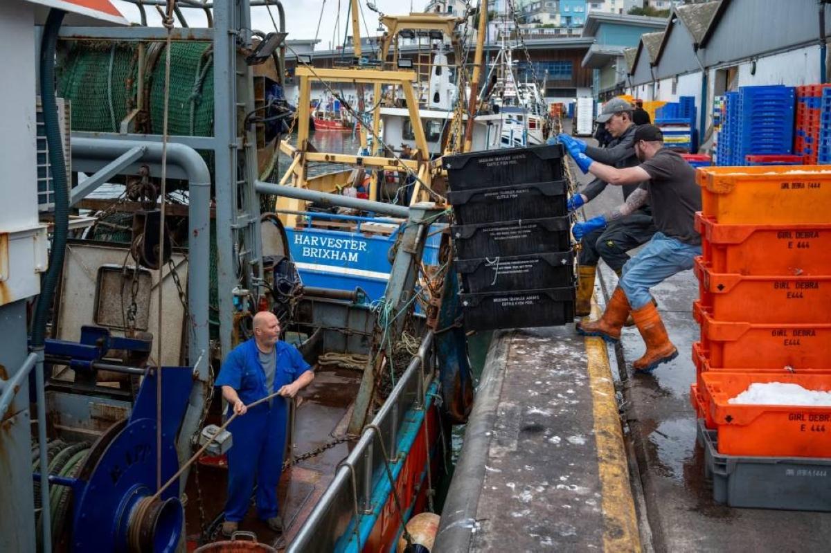 6e17cb84 2681 4bdd aded a71932c507a2 file.jpg