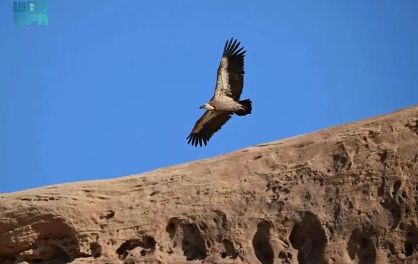 6f128688 7683 4b4f 820a 0aaa8b2cc5d7 file.jpg