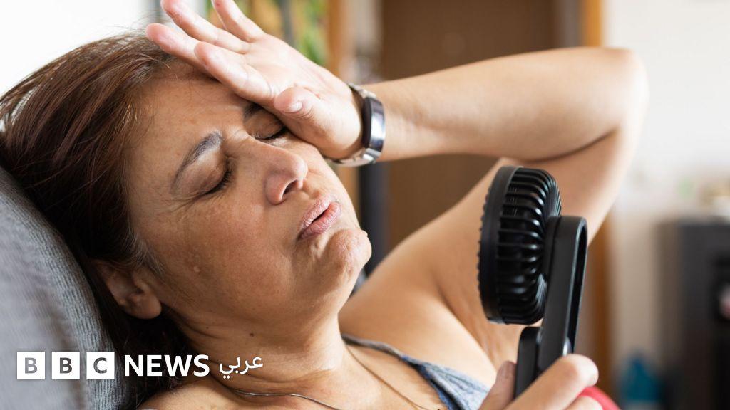 71647385 351d 4496 a07c e1d8813de1ec file.jpg