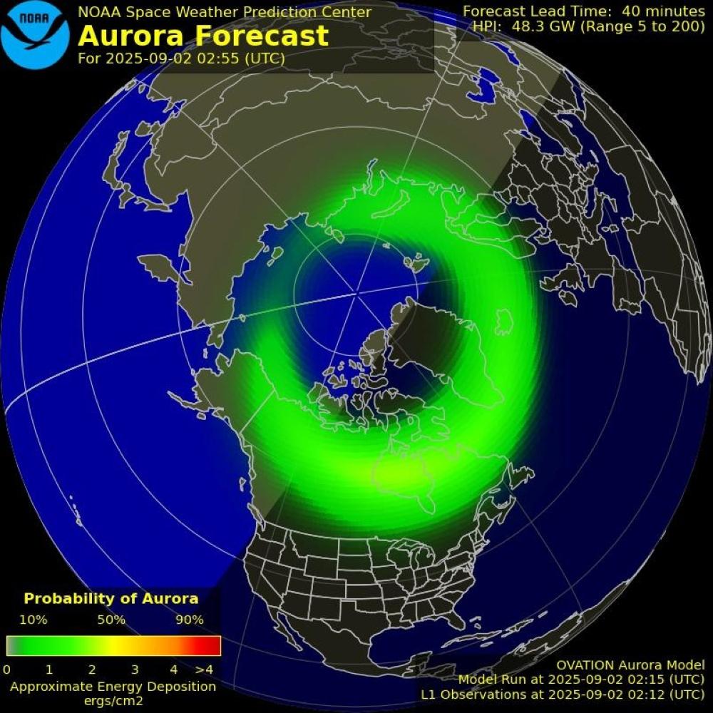 7503b3eb 10d3 4b7e 9db7 0ef0b4943b1b file.jpg