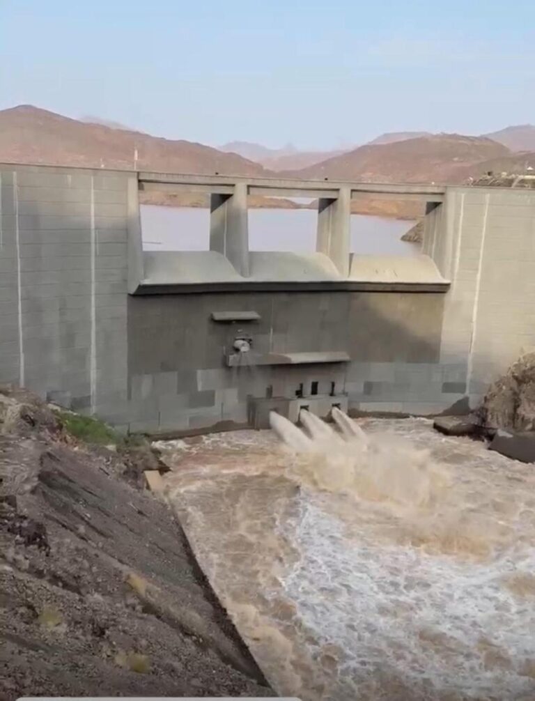 78c1d659 d143 4ce4 a420 01115e21f7ef file.jpg