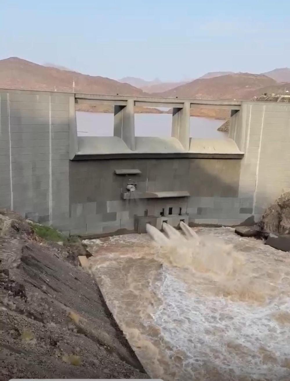 78c1d659 d143 4ce4 a420 01115e21f7ef file.jpg