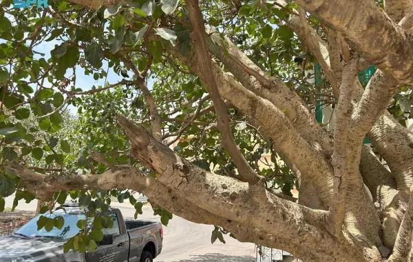 79dfb7b4 4b0e 4d08 8be2 590b4254e0e0 file.jpg