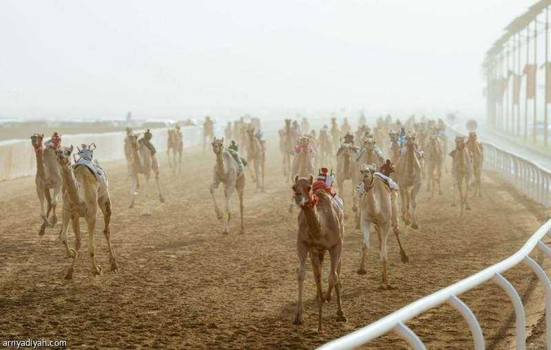 7a7fcb0f 0572 43d7 bc55 36acc47f15a2 file.jpg