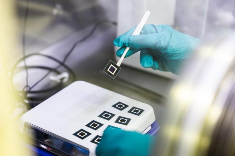 7abb8db1 c0f9 43da 80fd 5df56308d941 file.jpg