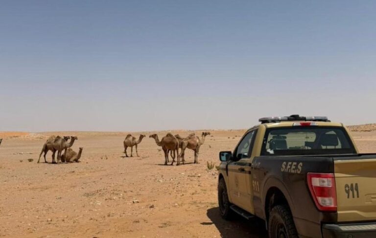 7b3b8bfb 2b45 450f b7d7 7d79354e9952 file.jpg