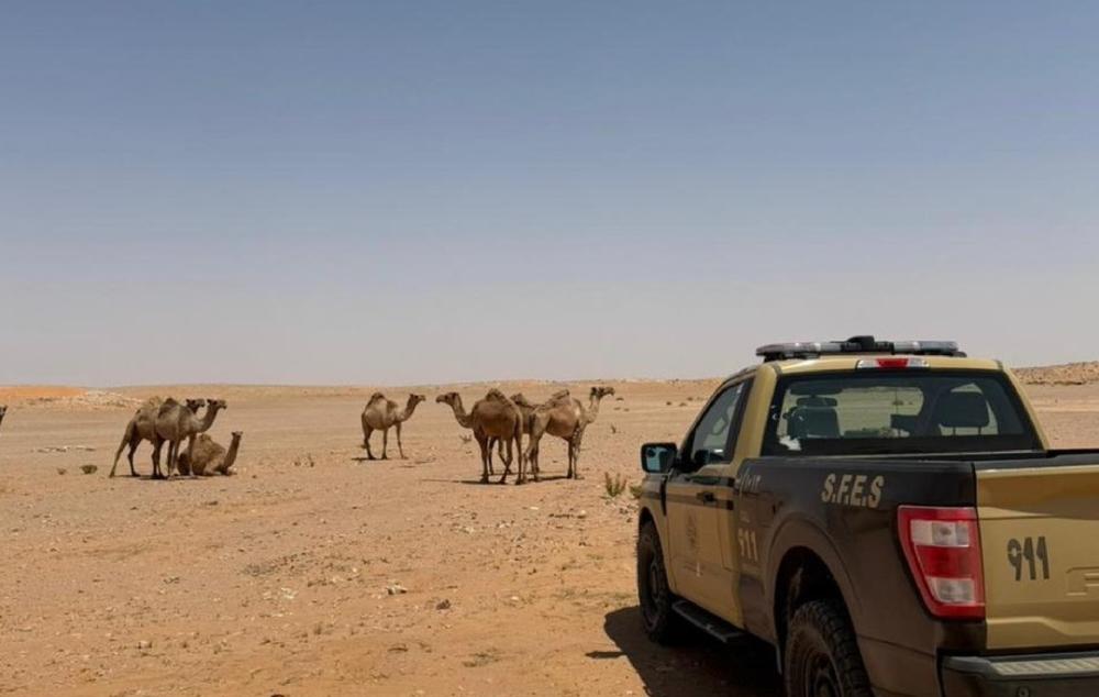 7b3b8bfb 2b45 450f b7d7 7d79354e9952 file.jpg