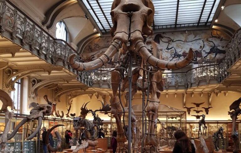 7bec0105 ebfd 4c50 9798 30b98b1b3984 file.jpg