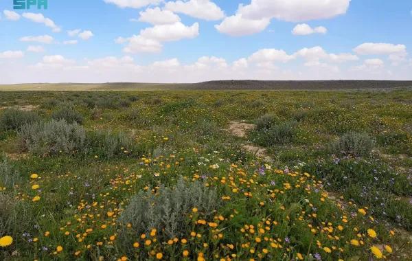 7f248c63 a2dc 443a a1ce 6384a715db43 file.jpg