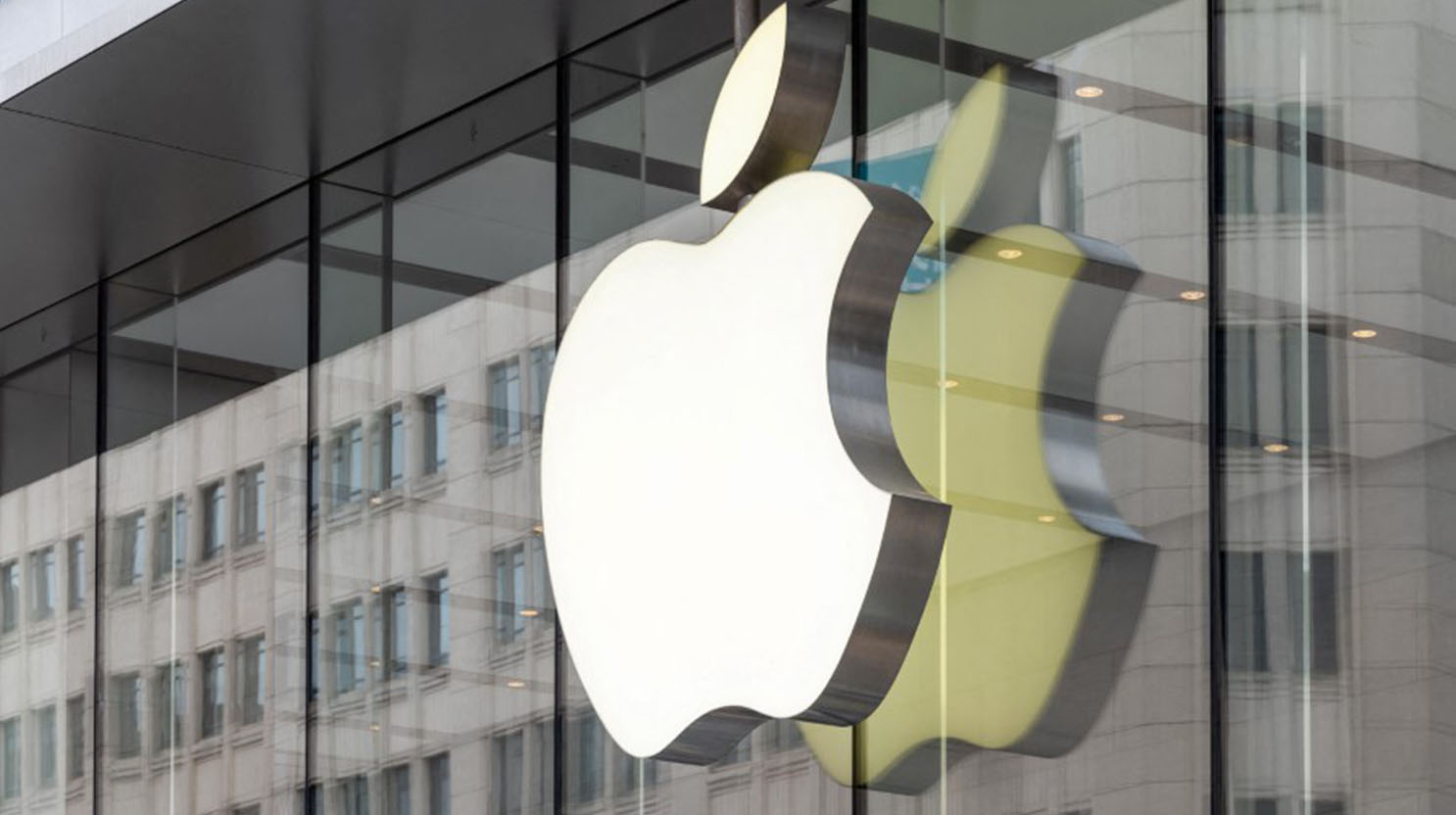 7f347a20 2190 4bf6 a6bf bfda74266287 file.jpeg