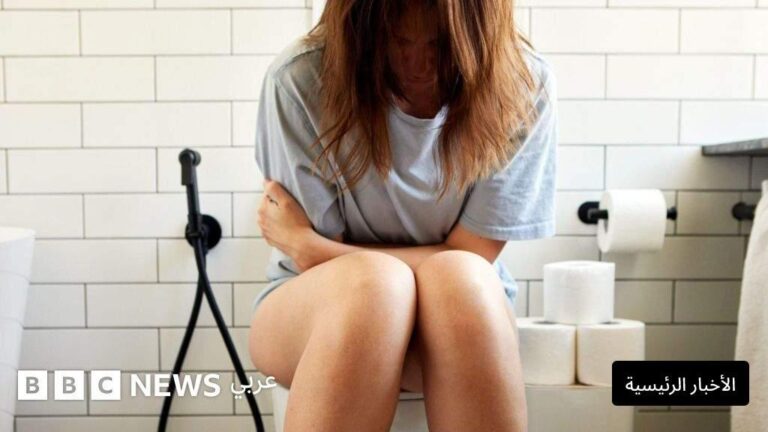 805709c4 6ad4 4bf3 ba1c 20a59b3f8e25 file.jpg