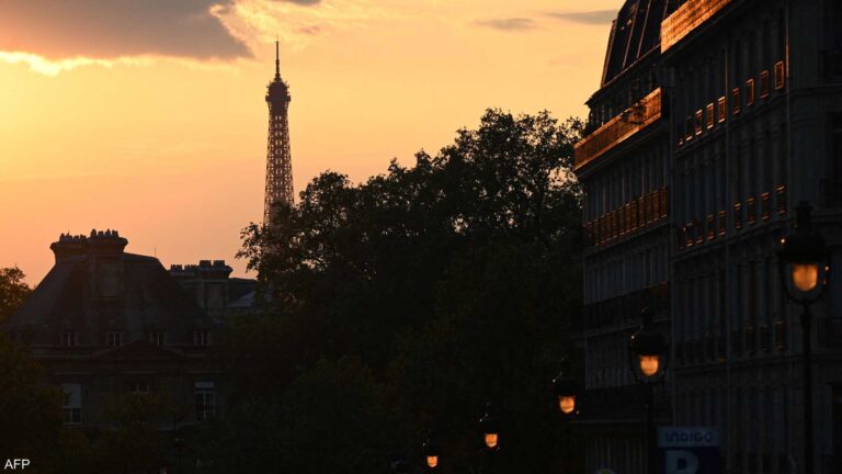 8319b293 543a 4338 bdb3 52770a842b97 file.jpeg