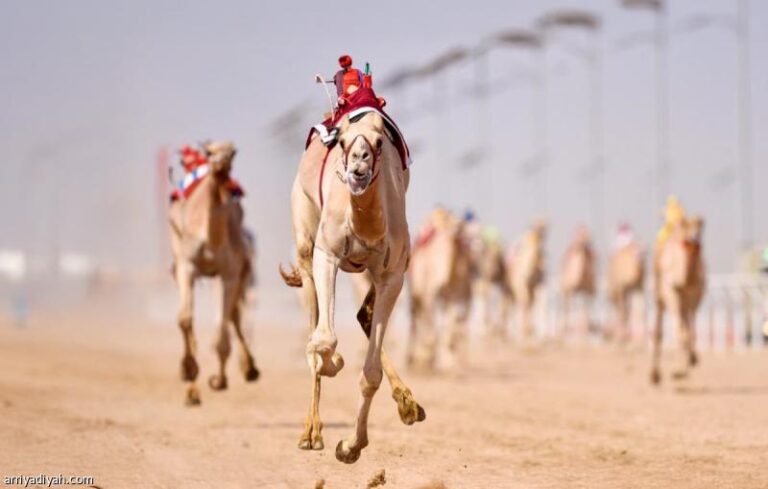 852f7c25 93b9 4115 8776 ed203246942d file.jpg