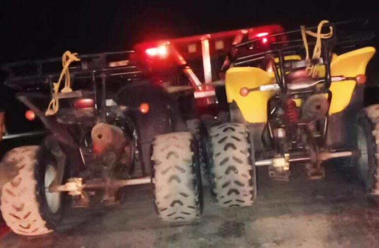 874d7893 6b5b 4388 808b cd0882f11ed0 file.jpg