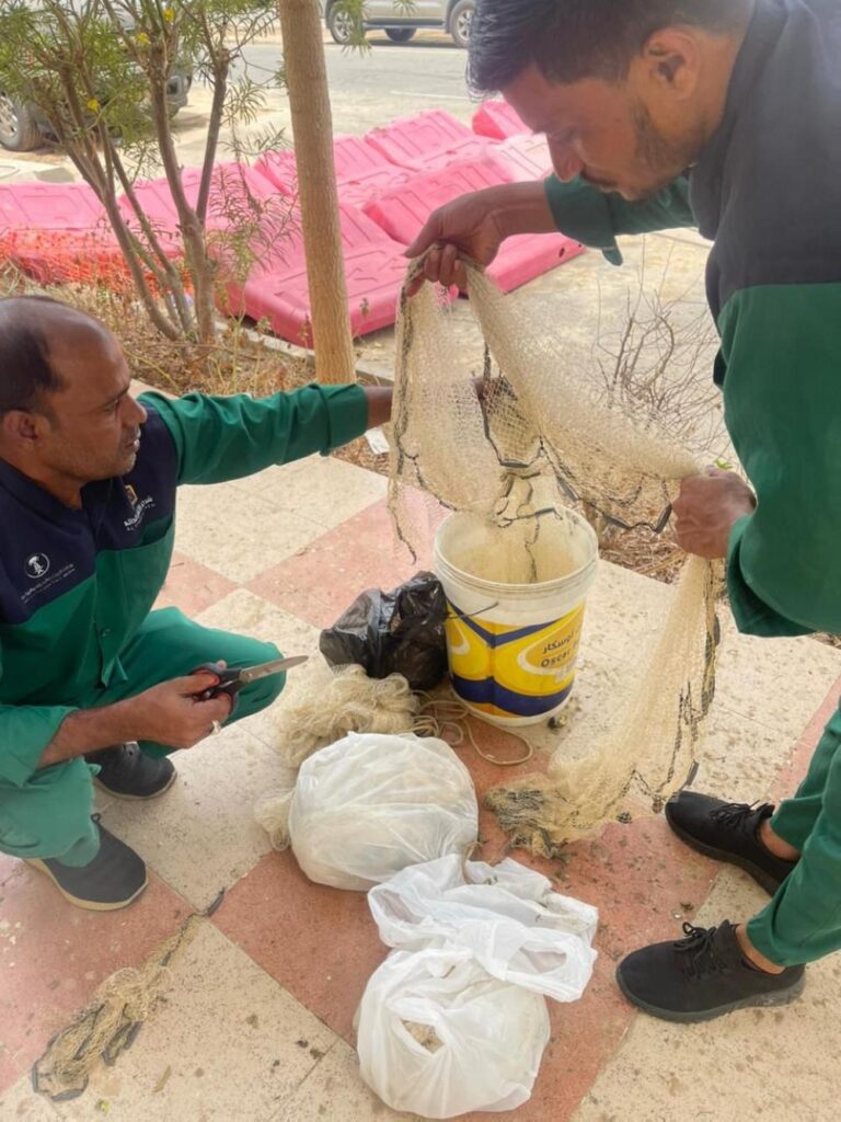 8e3ff69f e947 414f 8a42 4ba01c08c5f3 file.jpg