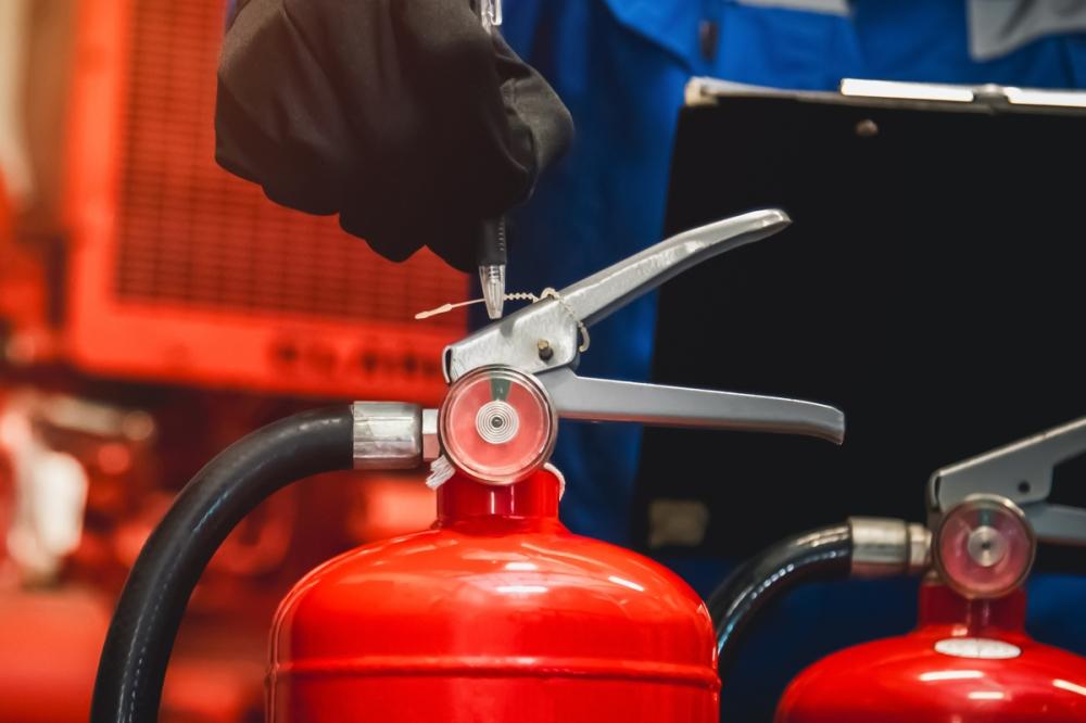 90bda15d a4c4 4fa7 9a68 15bb65d8df53 file.jpg