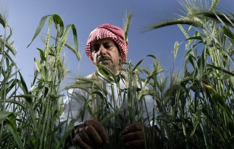 923f6413 4118 486f 87ef e9128bbd06c9 file.jpg