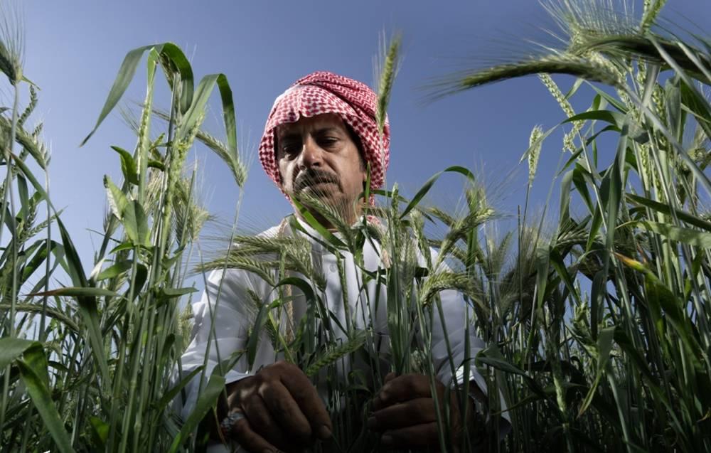 923f6413 4118 486f 87ef e9128bbd06c9 file.jpg