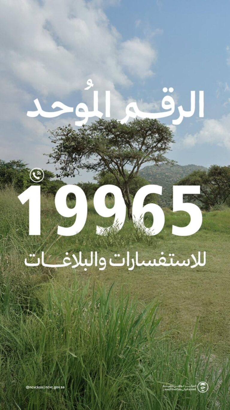 95b02e6a 52bc 4ba3 b702 5297c01db067 file.jpg