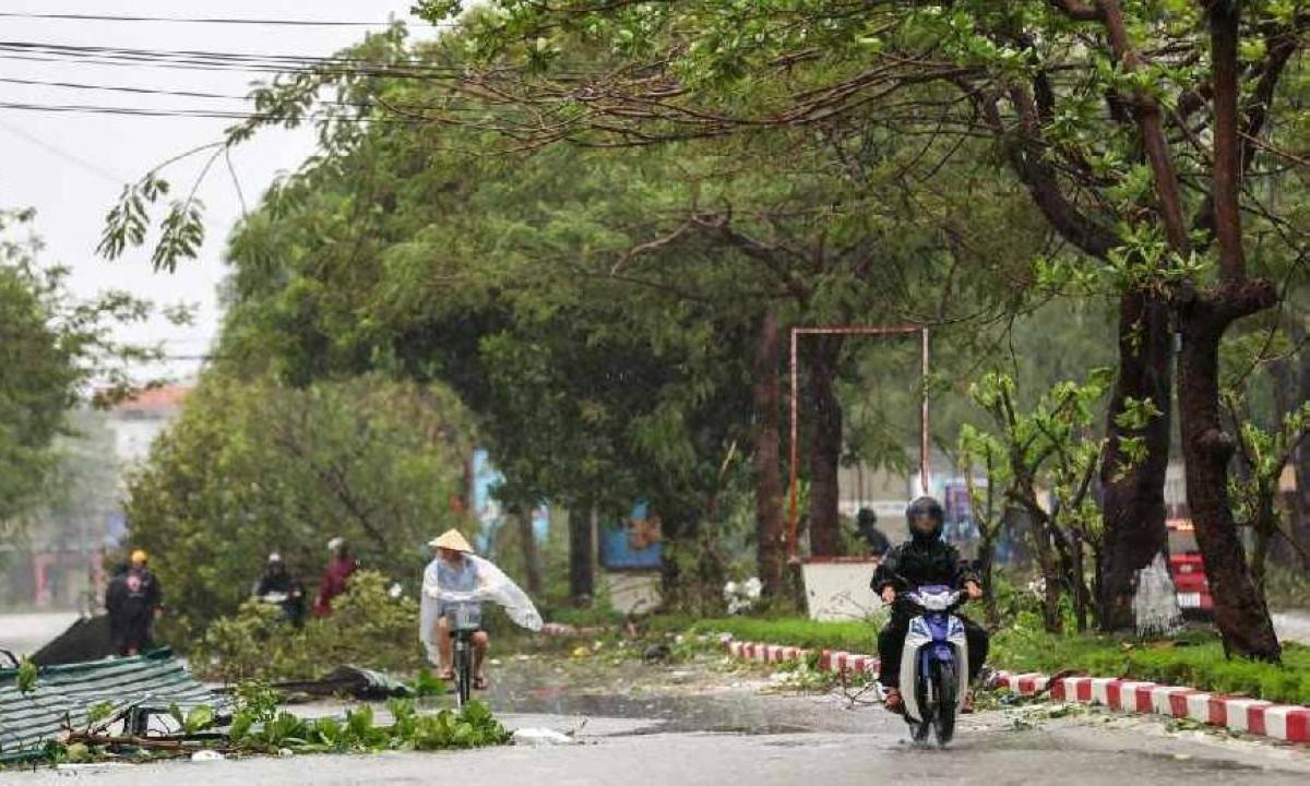 965d77fa 954c 43e0 bc1c 71b3ff21f2cd file.jpg