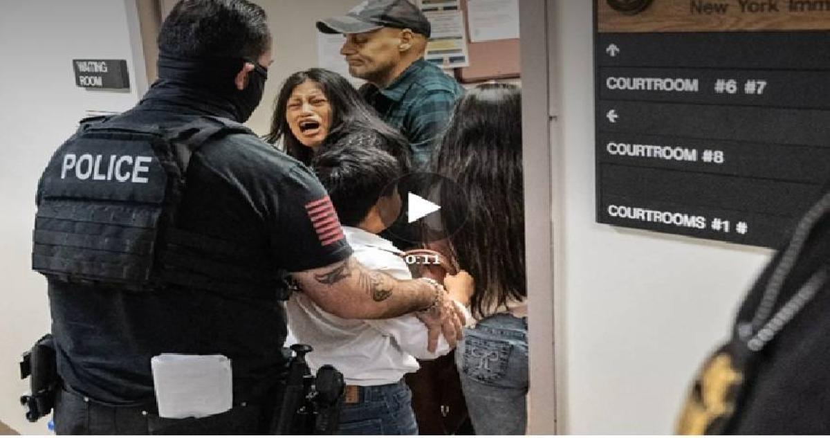 96b29bc5 0130 4a36 a113 f9493f66d0a0 file.jpg