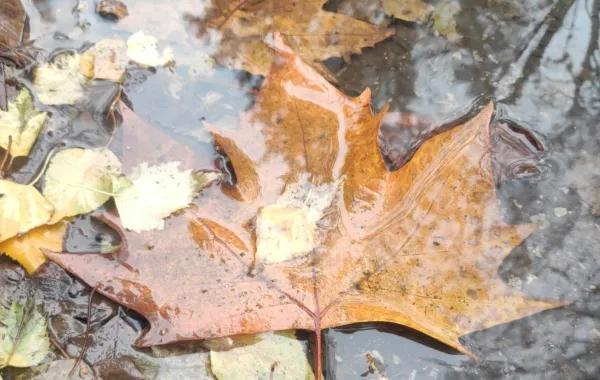 A15f774d 273e 4495 9ea0 774f05ddc72c file.jpg