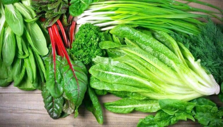 A533f893 06a9 4636 8812 bda83f7c8937 file.jpg