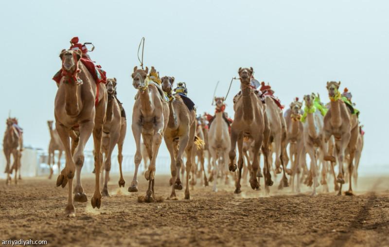 A61a90bb 5ca0 4d6d 83ba f3185eb39633 file.jpg