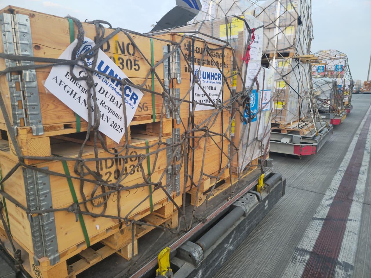 A8aa45d1 42e0 4a4e ac21 2bb67b6c920f file.jpg