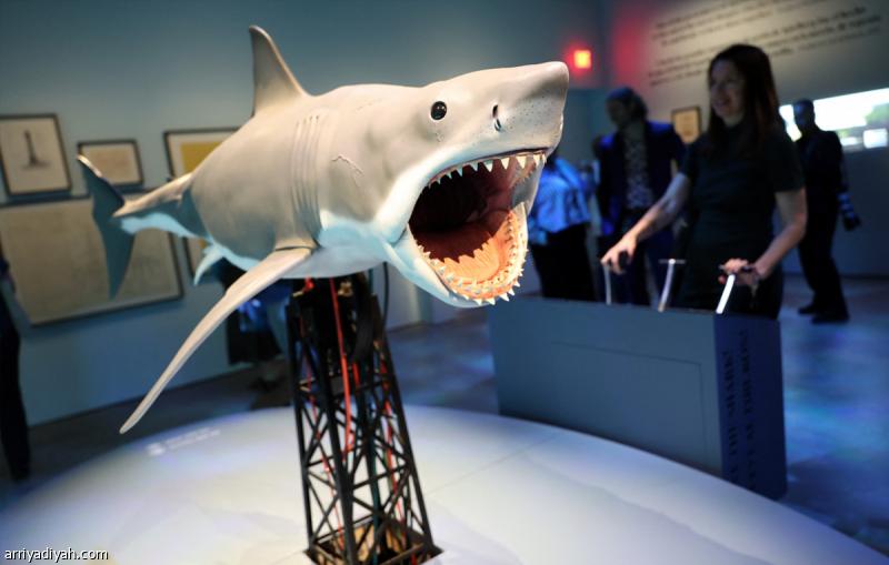 A93d674f e142 4e63 a29f a31b37de30f4 file.jpg