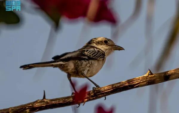 Aa19026c 362f 43d9 bb4e 6ad2a33c41d3 file.jpg