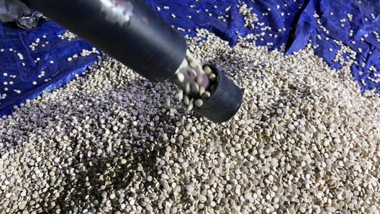 Ab728570 1350 4607 bac0 91974781665f file.jpg