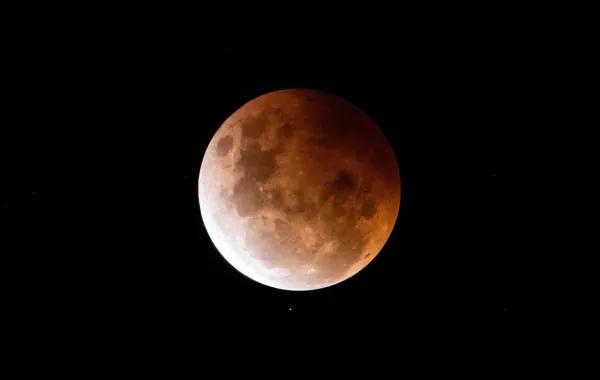 Ab921b96 afa3 453a 89ba 67cbe8c6efe2 file.jpg