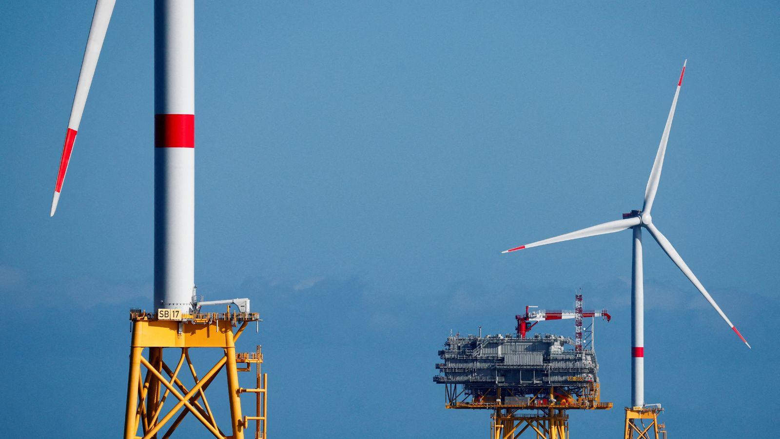 Aef47555 14b2 488b 8009 3ceaaacd3585 file.jpg