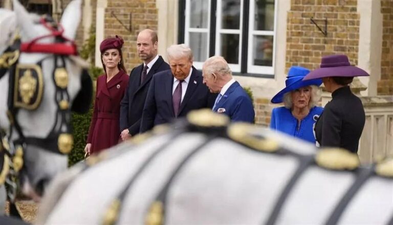 B44b3cb6 ffcc 4ad6 a36c 37951feafc59 file.jpg