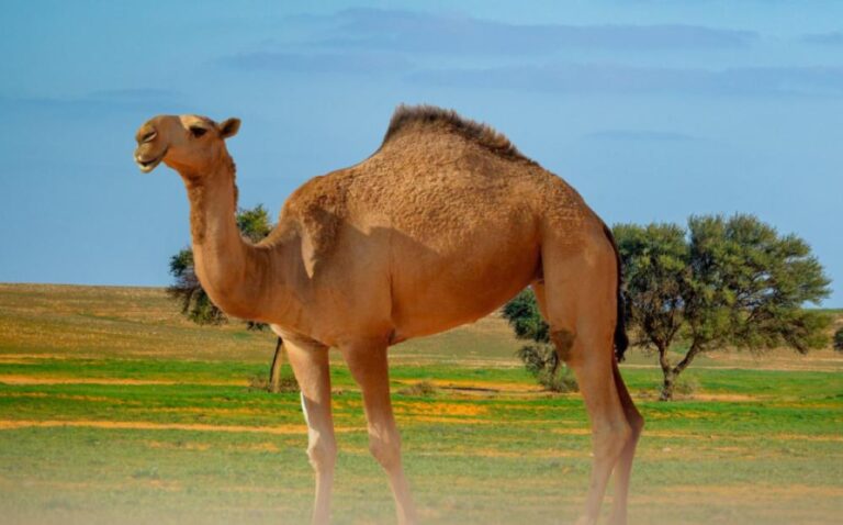 B4a85b58 0500 42fb 9280 d5b12fe191cd file.jpg