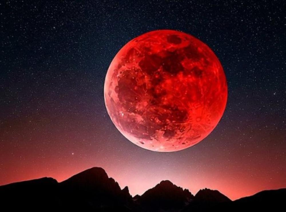 B4b381c2 35df 4ad4 b7bd 93dca5b82bc5 file.jpg