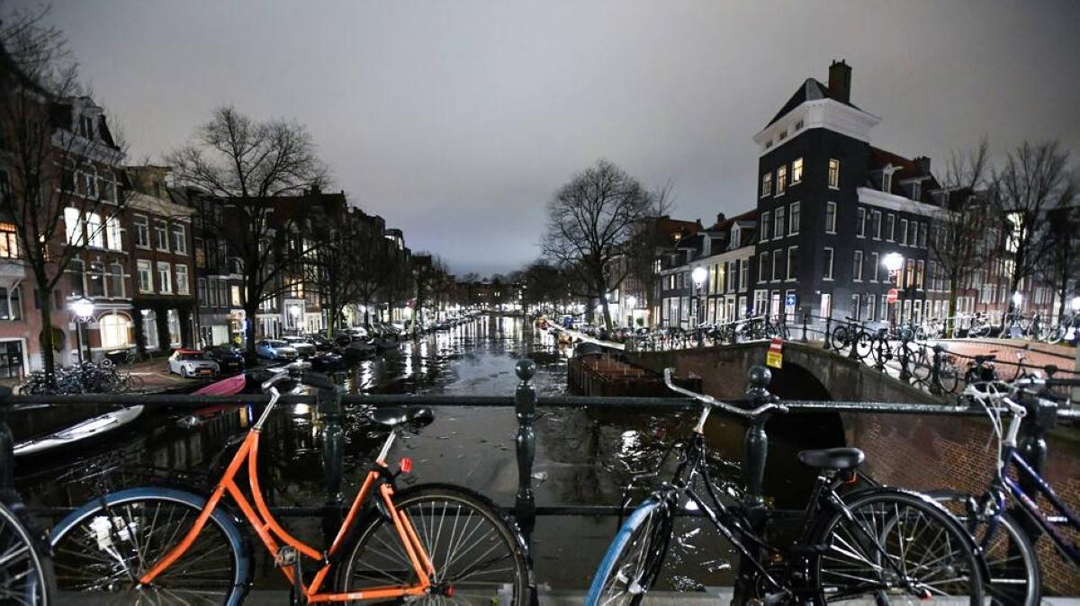 B714d3f2 53dc 4162 aee0 c527b87c15f1 file.jpg