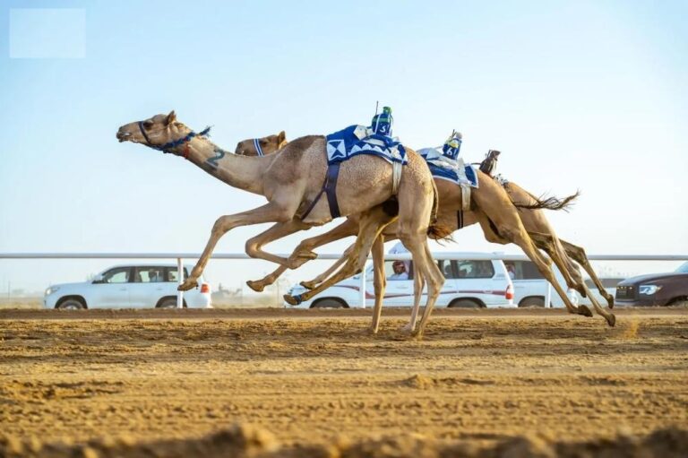 B747ab06 391f 4346 bfed cf6e3528911b file.jpg