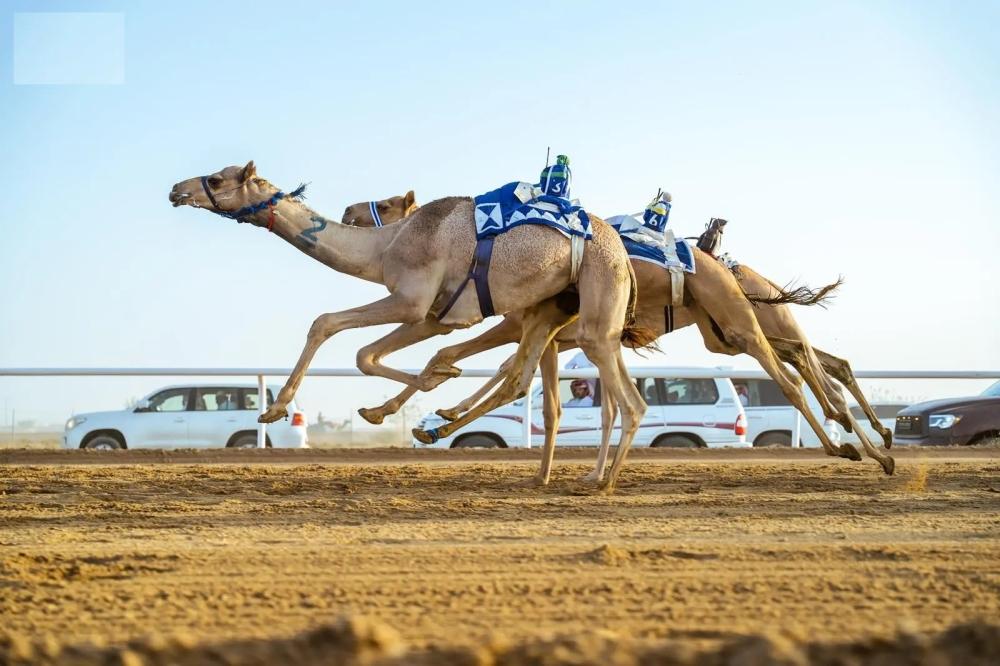 B747ab06 391f 4346 bfed cf6e3528911b file.jpg