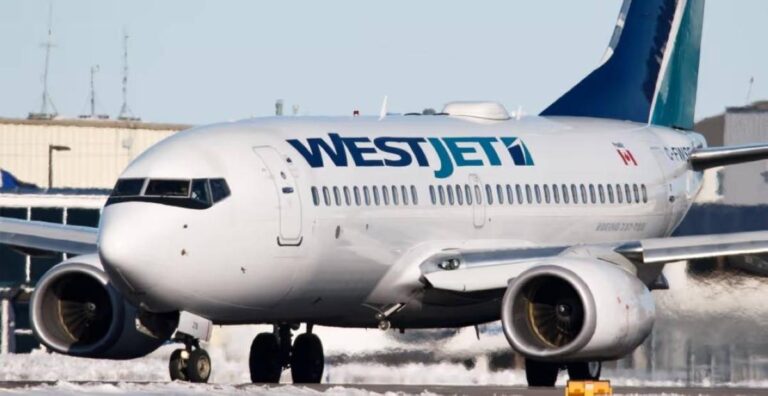 B87293ea cb4a 4199 9c88 475e2558938f file.jpg