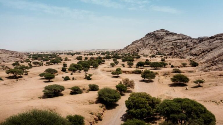 B9e10879 9462 4d20 8ea5 2569b5a01695 file.jpg