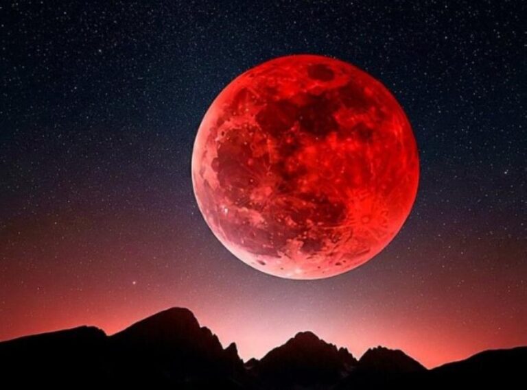 C55a5bf4 73e2 45ac a86e af0ee14f3133 file.jpg