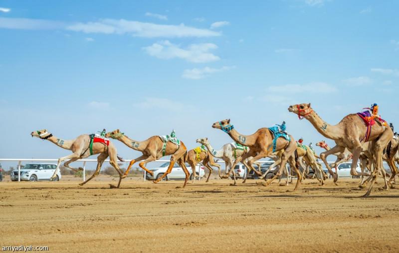 C561dd9d bf43 4a71 9aae 9bd4d22d1f0a file.jpg