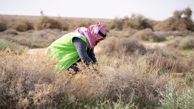 Cd5c409a 2c9d 49a5 a42b f83a7c66697a file.jpg