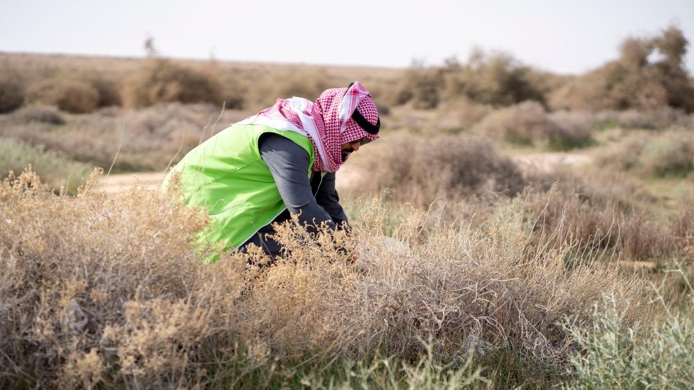 Cd5c409a 2c9d 49a5 a42b f83a7c66697a file.jpg